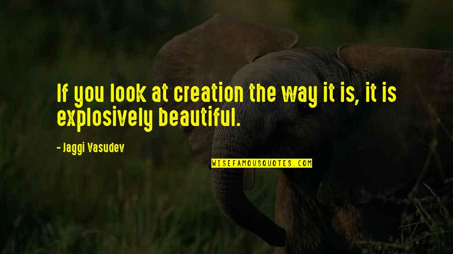 Beautiful Creation Quotes By Jaggi Vasudev: If you look at creation the way it
