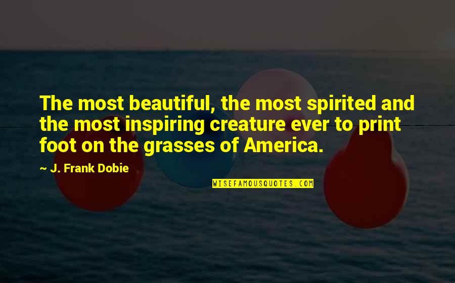 Beautiful Creature Quotes By J. Frank Dobie: The most beautiful, the most spirited and the