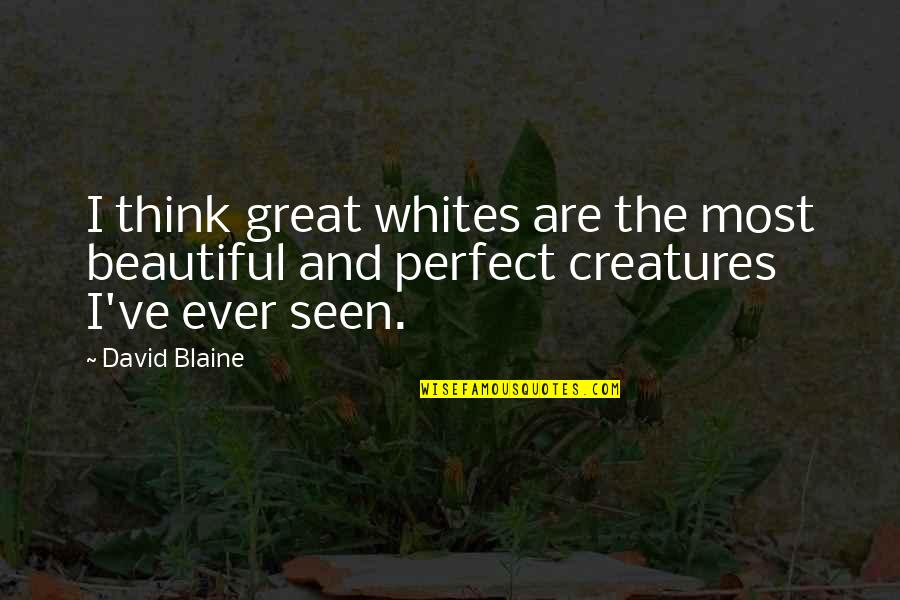 Beautiful Creatures Quotes By David Blaine: I think great whites are the most beautiful