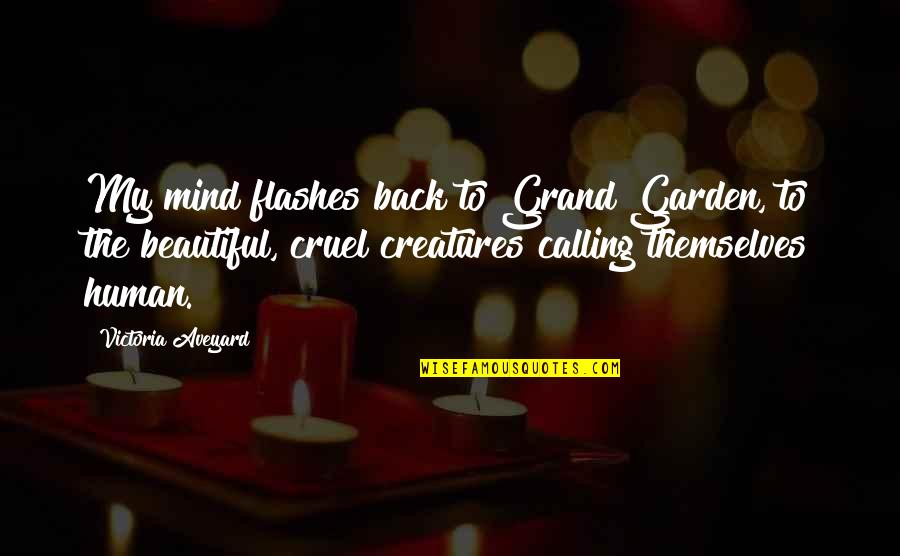 Beautiful Creatures Quotes By Victoria Aveyard: My mind flashes back to Grand Garden, to Beautiful Creatures Quotes By Victoria Aveyard: My mind flashes back to Grand Garden, to