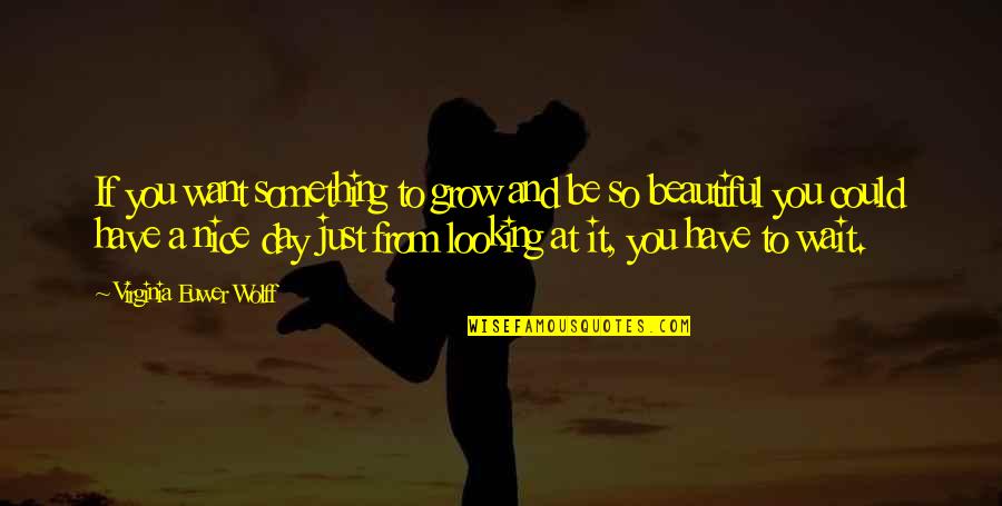 Beautiful Day To Day Quotes By Virginia Euwer Wolff: If you want something to grow and be Beautiful Day To Day Quotes By Virginia Euwer Wolff: If you want something to grow and be