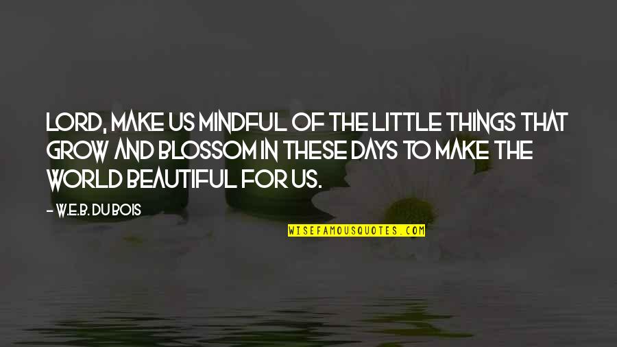 Beautiful Days Quotes By W.E.B. Du Bois: Lord, make us mindful of the little things