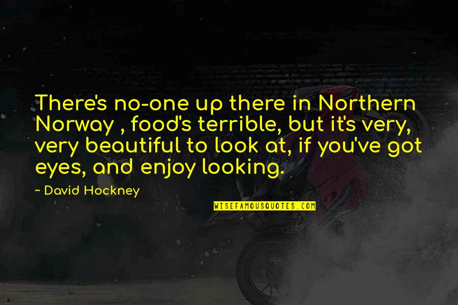 Beautiful Eye Quotes By David Hockney: There's no-one up there in Northern Norway ,