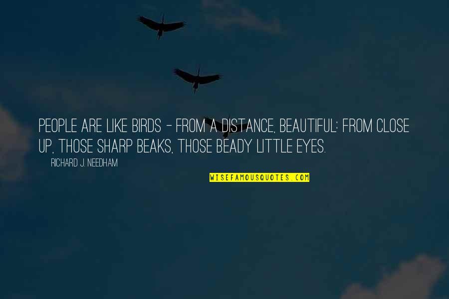 Beautiful Eye Quotes By Richard J. Needham: People are like birds - from a distance,
