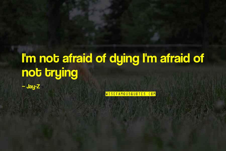 Beautiful Eyebrows Quotes By Jay-Z: I'm not afraid of dying I'm afraid of