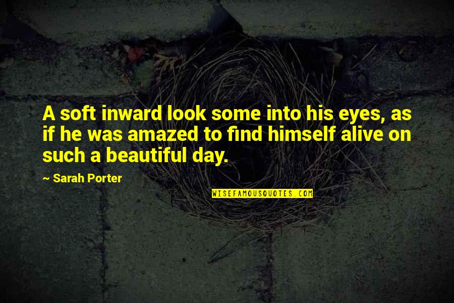 Beautiful Eyes Quotes By Sarah Porter: A soft inward look some into his eyes,