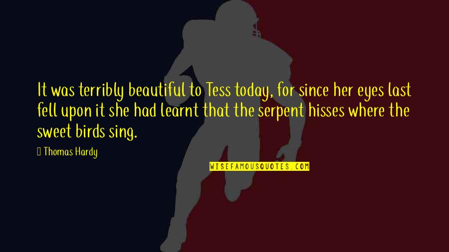 Beautiful Eyes Quotes By Thomas Hardy: It was terribly beautiful to Tess today, for