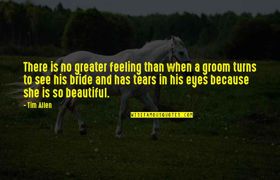 Beautiful Eyes Quotes By Tim Allen: There is no greater feeling than when a