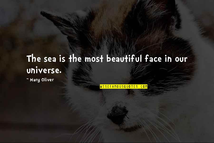 Beautiful Face Quotes By Mary Oliver: The sea is the most beautiful face in