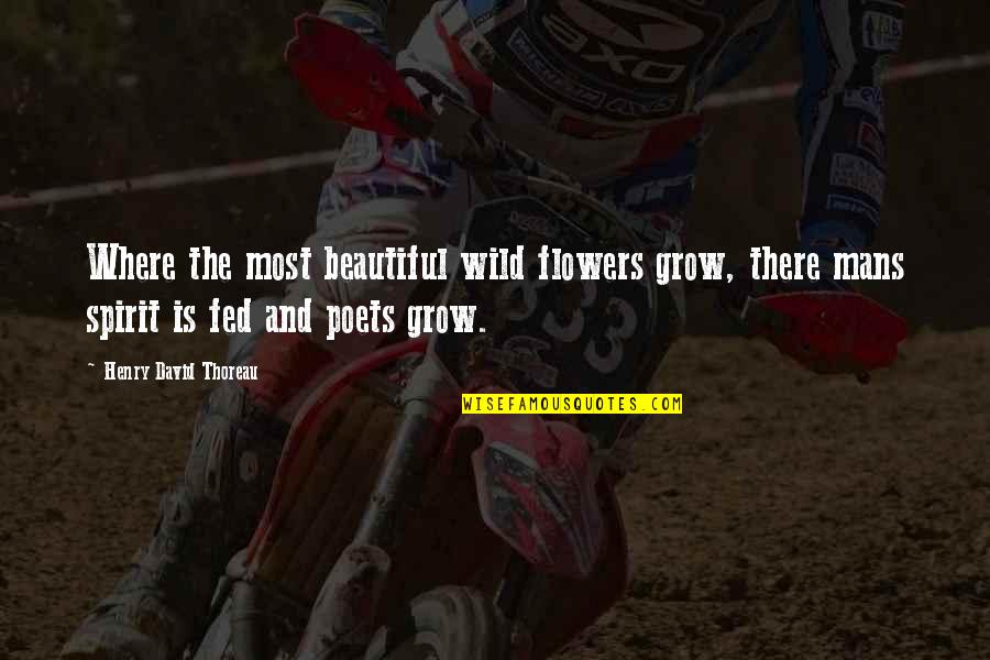 Beautiful Flowers Quotes By Henry David Thoreau: Where the most beautiful wild flowers grow, there