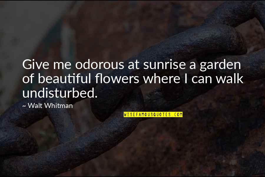 Beautiful Flowers Quotes By Walt Whitman: Give me odorous at sunrise a garden of