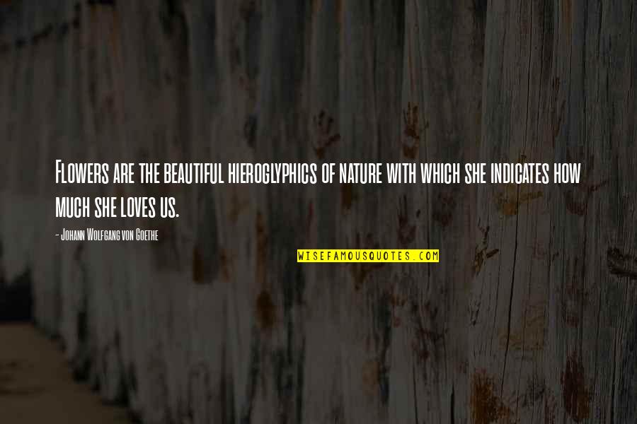Beautiful Flowers With Quotes By Johann Wolfgang Von Goethe: Flowers are the beautiful hieroglyphics of nature with