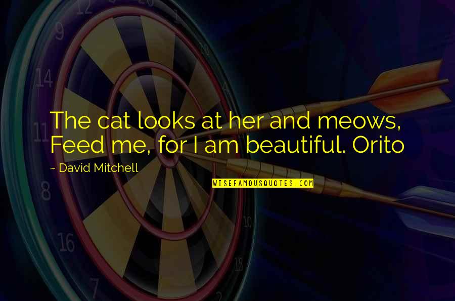 Beautiful For Her Quotes By David Mitchell: The cat looks at her and meows, Feed