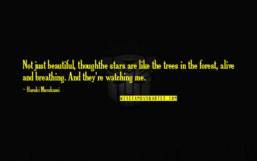 Beautiful Forest Quotes By Haruki Murakami: Not just beautiful, thoughthe stars are like the