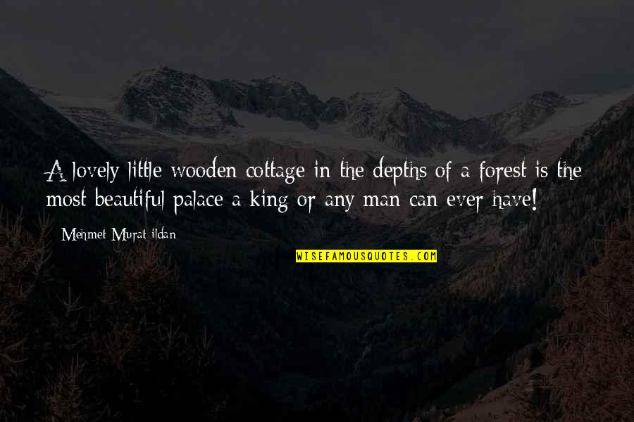 Beautiful Forest Quotes By Mehmet Murat Ildan: A lovely little wooden cottage in the depths