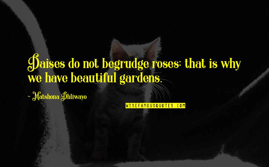 Beautiful Gardens Quotes By Matshona Dhliwayo: Daises do not begrudge roses; that is why