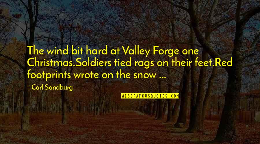 Beautiful Green Nature Quotes By Carl Sandburg: The wind bit hard at Valley Forge one