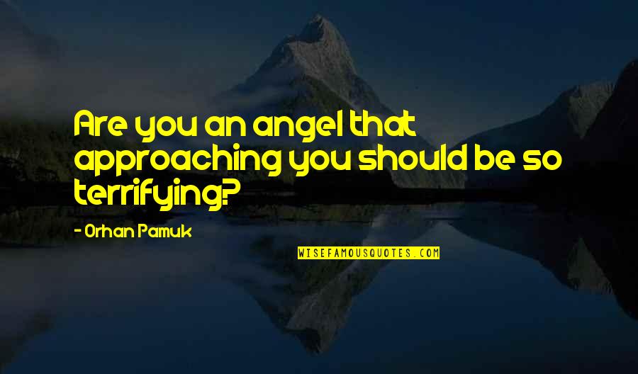 Beautiful Homeland Quotes By Orhan Pamuk: Are you an angel that approaching you should