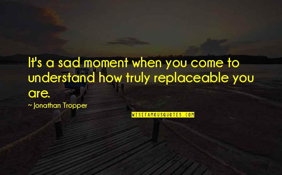 Beautiful Images With Love Quotes By Jonathan Tropper: It's a sad moment when you come to