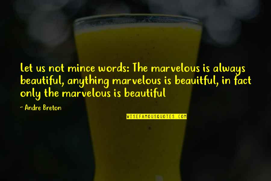Beautiful In And Out Quotes By Andre Breton: Let us not mince words: The marvelous is