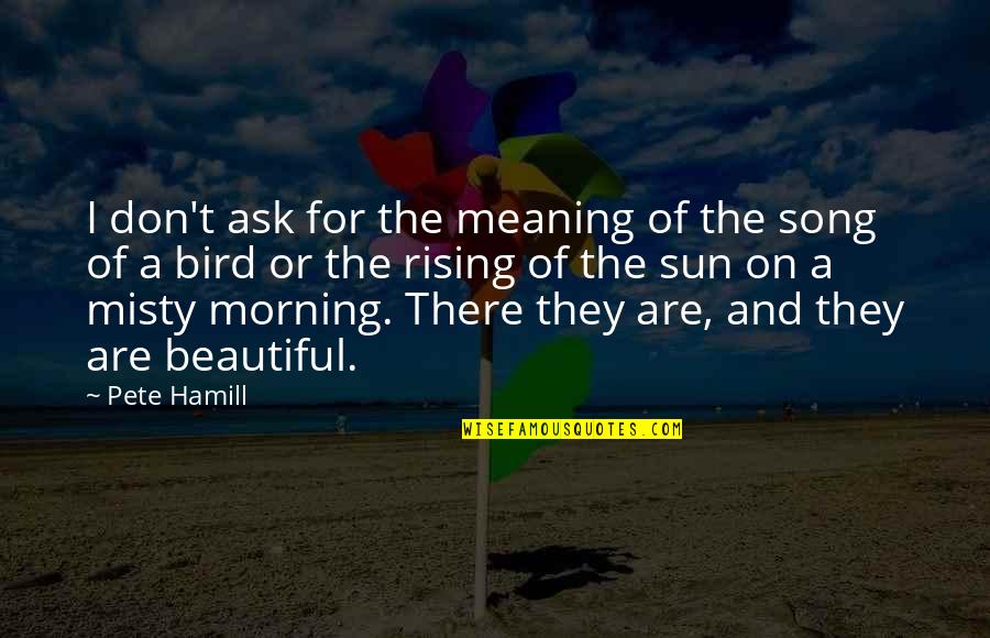 Beautiful In The Morning Quotes By Pete Hamill: I don't ask for the meaning of the