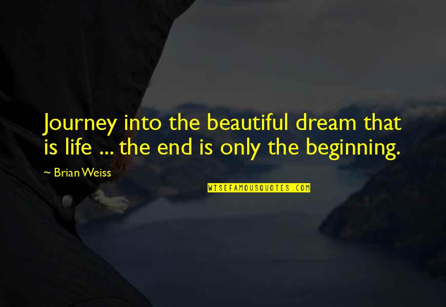Beautiful Journey Quotes By Brian Weiss: Journey into the beautiful dream that is life