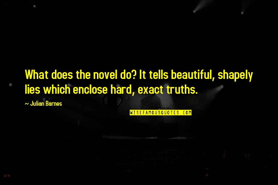 Beautiful Lies Quotes By Julian Barnes: What does the novel do? It tells beautiful,