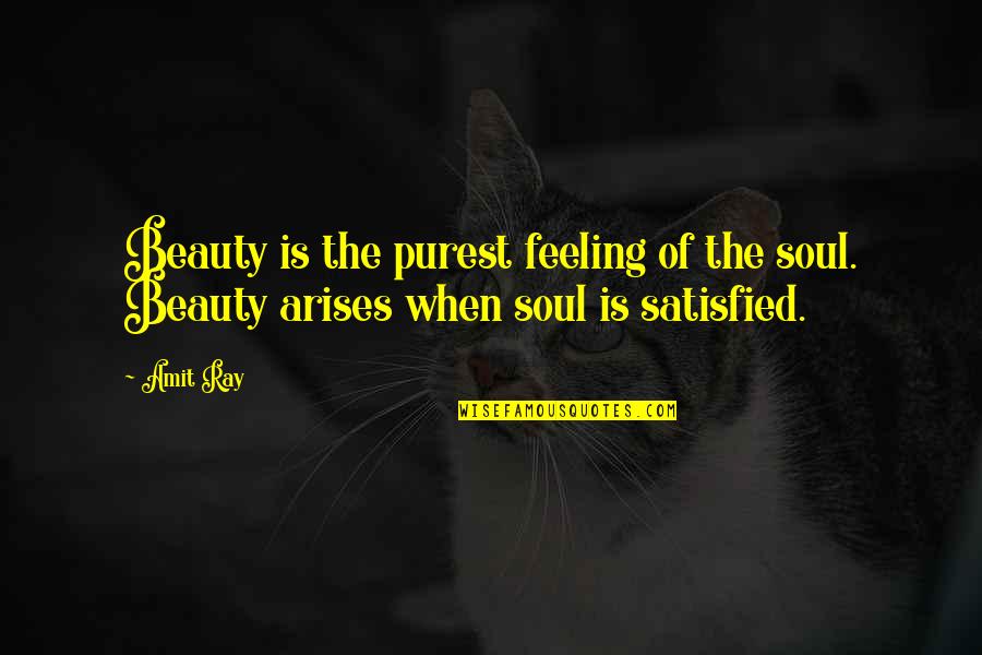 Beautiful Life Happiness Quotes By Amit Ray: Beauty is the purest feeling of the soul.