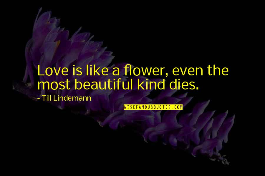 Beautiful Like A Flower Quotes By Till Lindemann: Love is like a flower, even the most