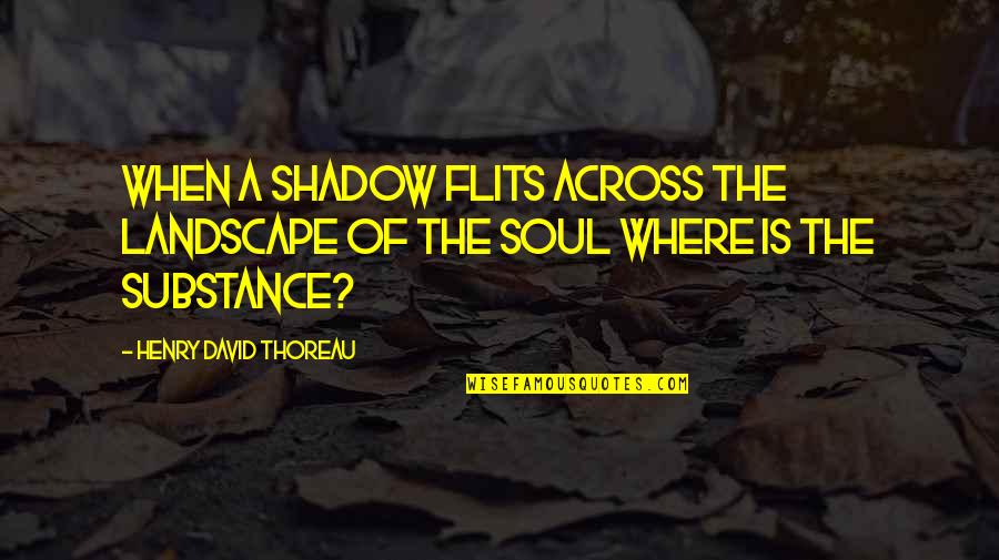 Beautiful Los Angeles Quotes By Henry David Thoreau: When a shadow flits across the landscape of