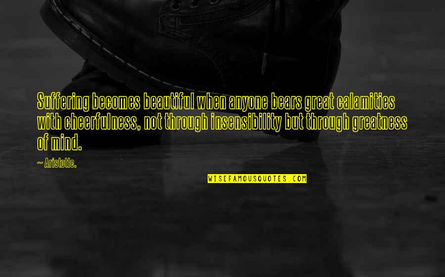Beautiful Mind Quotes By Aristotle.: Suffering becomes beautiful when anyone bears great calamities