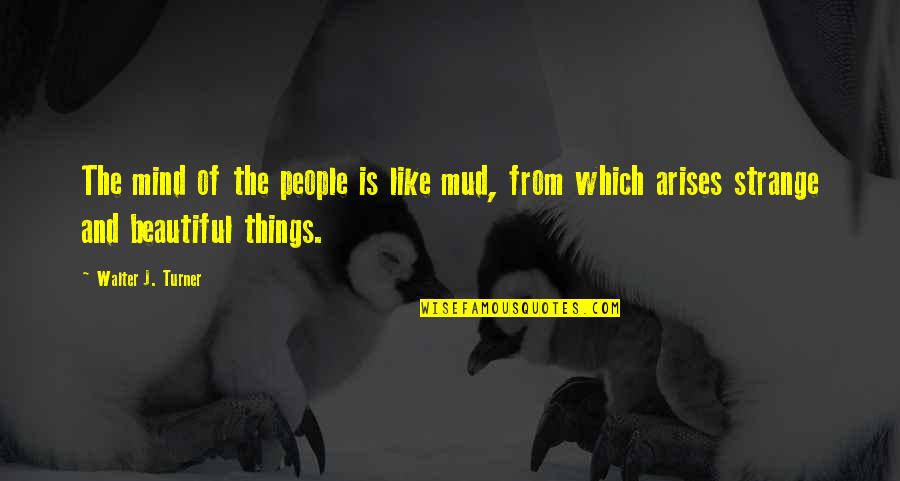 Beautiful Mind Quotes By Walter J. Turner: The mind of the people is like mud,