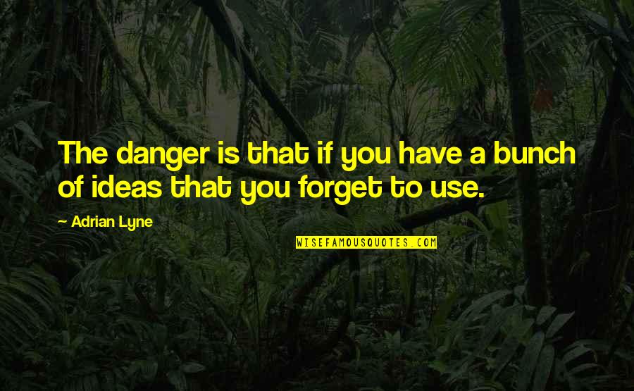 Beautiful Moral Quotes By Adrian Lyne: The danger is that if you have a