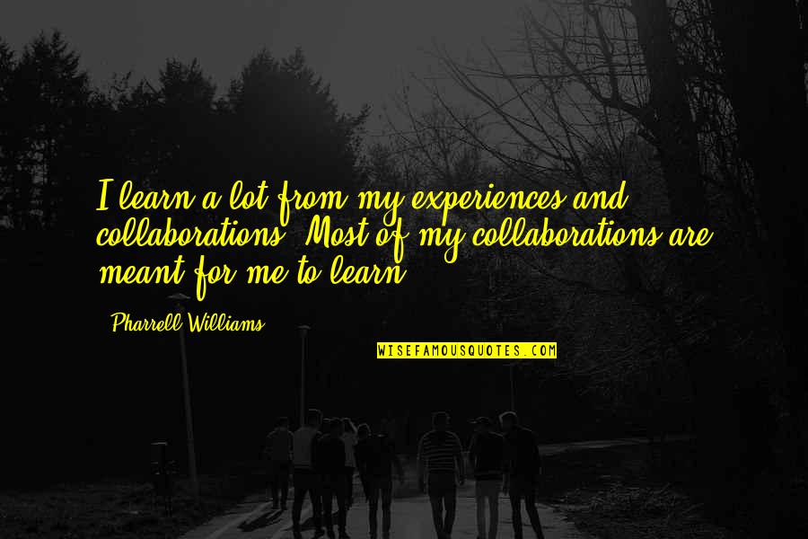 Beautiful Moral Quotes By Pharrell Williams: I learn a lot from my experiences and