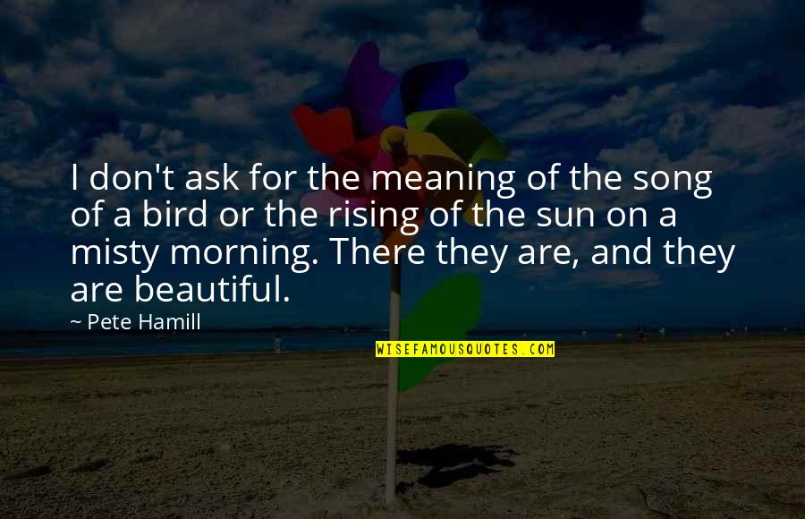 Beautiful Morning Inspirational Quotes By Pete Hamill: I don't ask for the meaning of the
