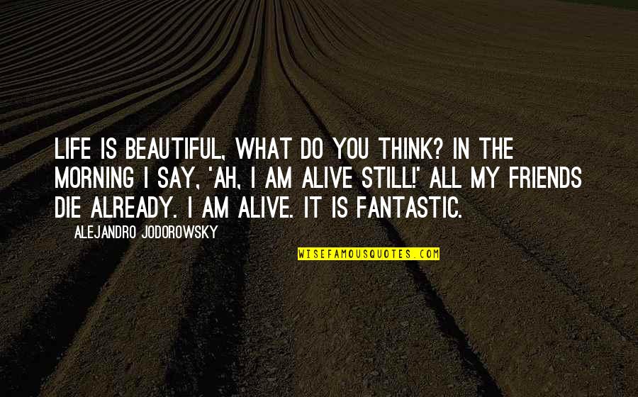 Beautiful Morning Quotes By Alejandro Jodorowsky: Life is beautiful, what do you think? In