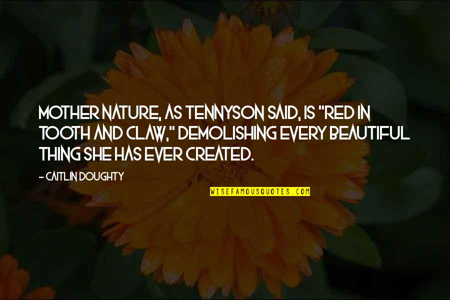 Beautiful Mother Nature Quotes By Caitlin Doughty: Mother Nature, as Tennyson said, is "red in