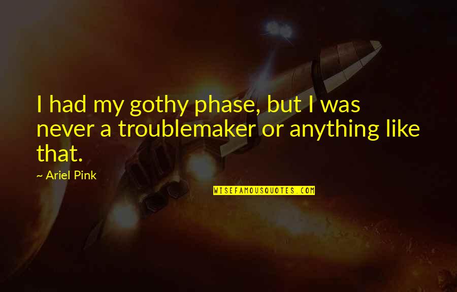 Beautiful Motivation Quotes By Ariel Pink: I had my gothy phase, but I was
