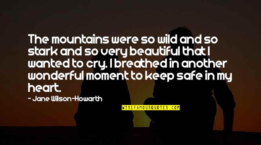 Beautiful Mountains Quotes By Jane Wilson-Howarth: The mountains were so wild and so stark