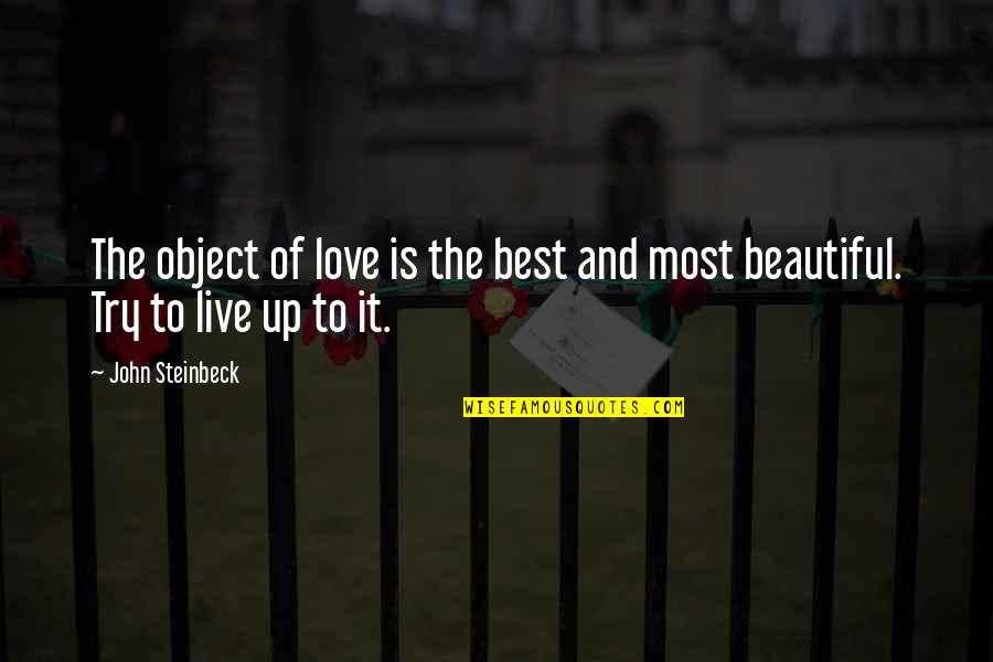 Beautiful Object Quotes By John Steinbeck: The object of love is the best and