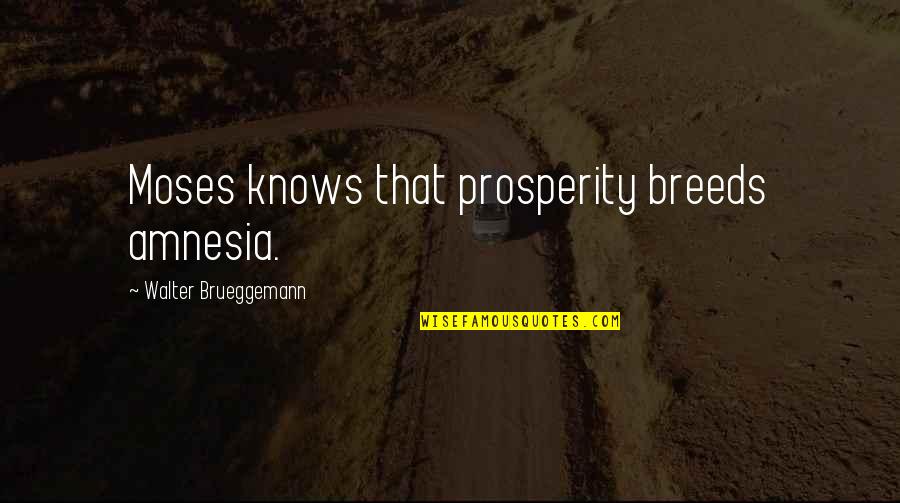 Beautiful Paintings Quotes By Walter Brueggemann: Moses knows that prosperity breeds amnesia.