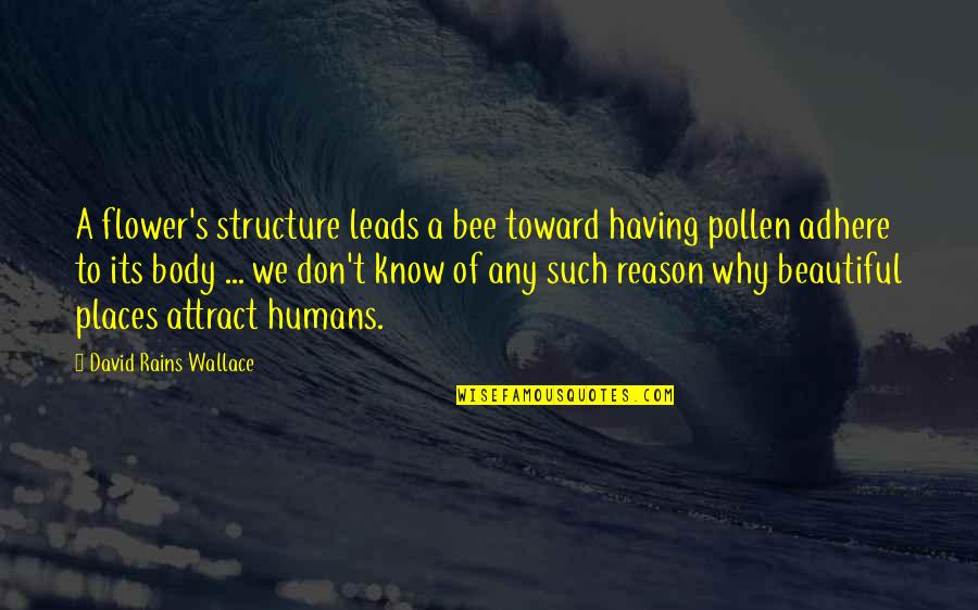 Beautiful Places Quotes By David Rains Wallace: A flower's structure leads a bee toward having