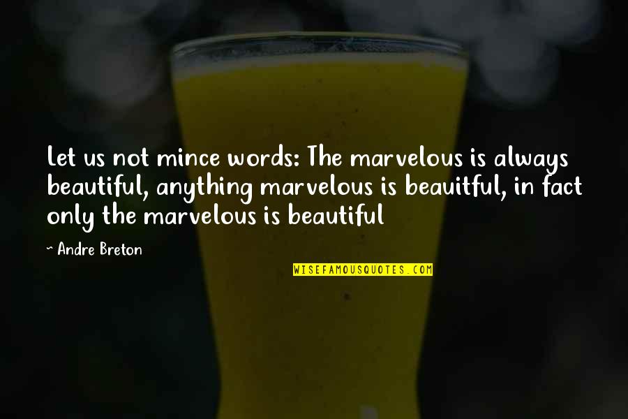 Beautiful Quotes By Andre Breton: Let us not mince words: The marvelous is