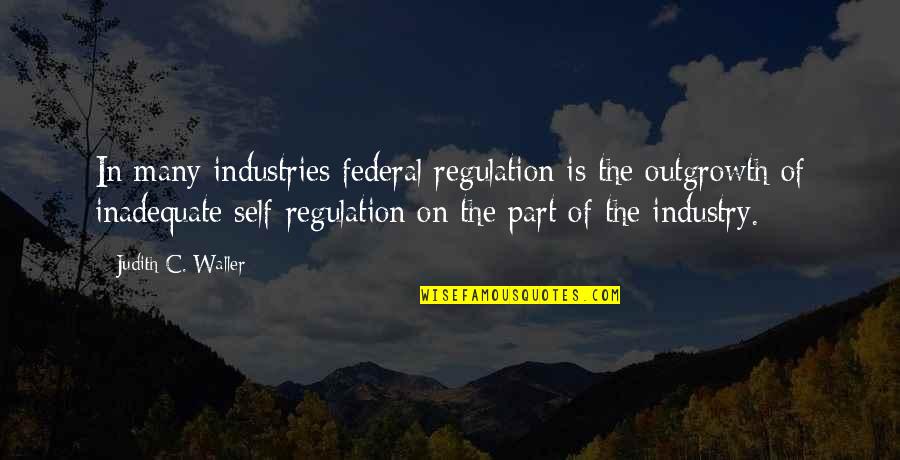 Beautiful Rain Quotes By Judith C. Waller: In many industries federal regulation is the outgrowth