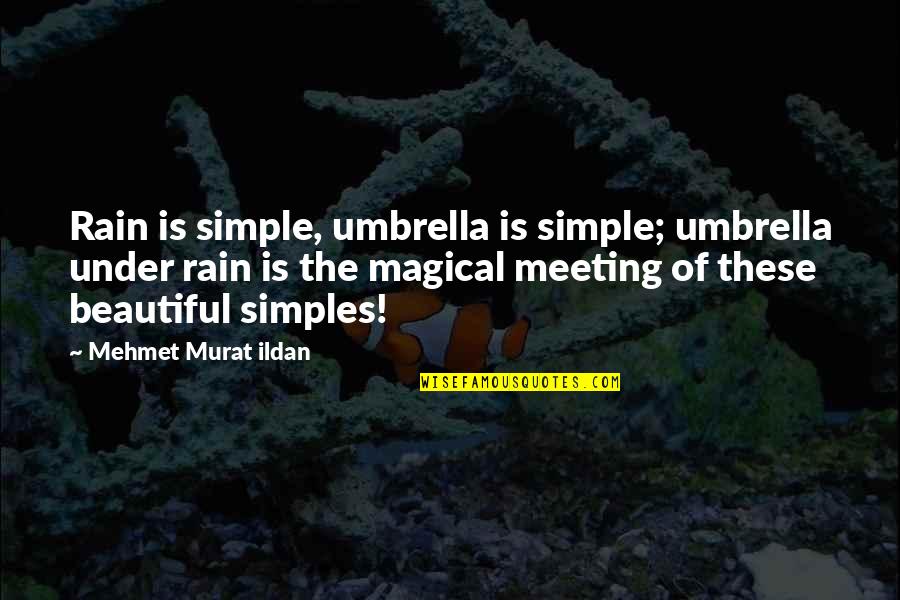 Beautiful Rain Quotes By Mehmet Murat Ildan: Rain is simple, umbrella is simple; umbrella under
