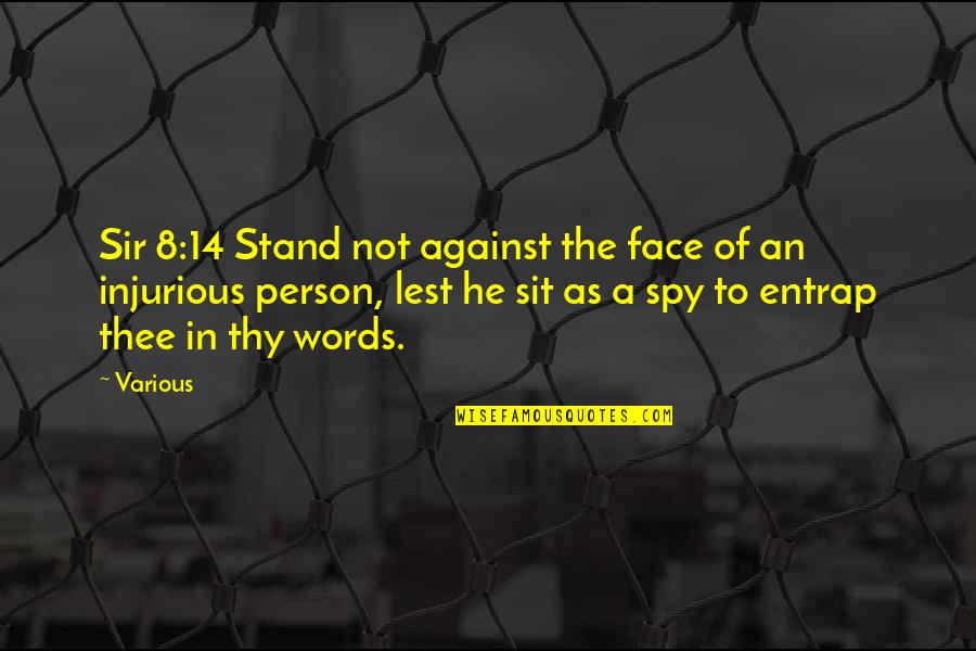 Beautiful Religious Quotes By Various: Sir 8:14 Stand not against the face of