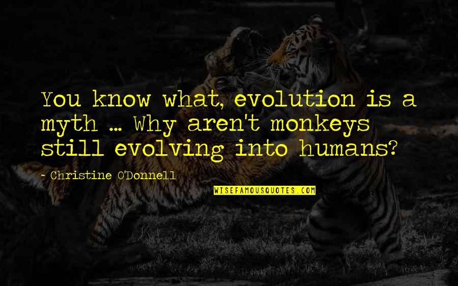 Beautiful Sabbath Quotes By Christine O'Donnell: You know what, evolution is a myth ... Beautiful Sabbath Quotes By Christine O'Donnell: You know what, evolution is a myth ...