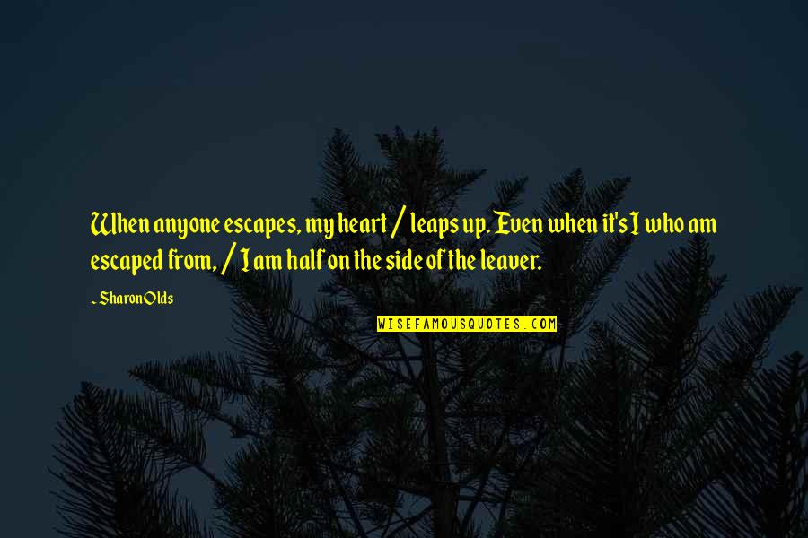 Beautiful Sacrifice Jamie Mcguire Quotes By Sharon Olds: When anyone escapes, my heart / leaps up. Beautiful Sacrifice Jamie Mcguire Quotes By Sharon Olds: When anyone escapes, my heart / leaps up.