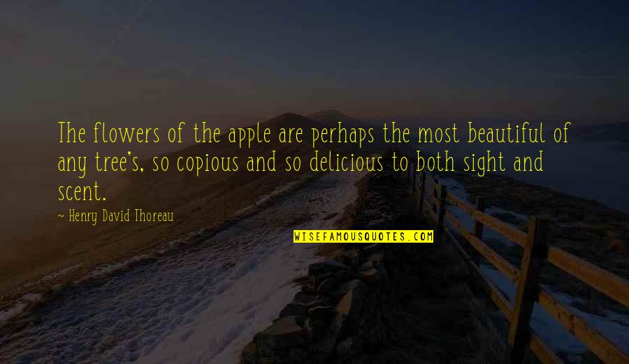 Beautiful Sight Quotes By Henry David Thoreau: The flowers of the apple are perhaps the Beautiful Sight Quotes By Henry David Thoreau: The flowers of the apple are perhaps the