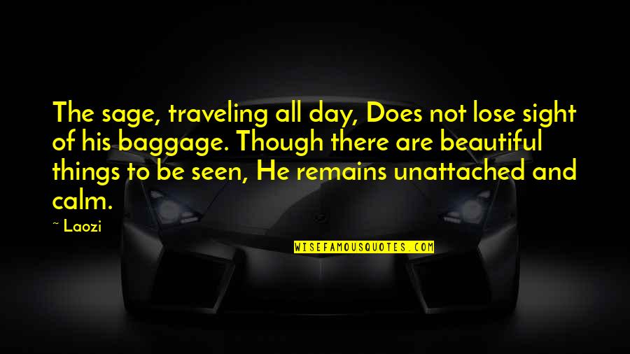 Beautiful Sight Quotes By Laozi: The sage, traveling all day, Does not lose Beautiful Sight Quotes By Laozi: The sage, traveling all day, Does not lose